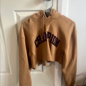 Champion Brown Cropped Hoodie xsmall